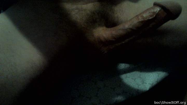 Photo of a bat from boc
