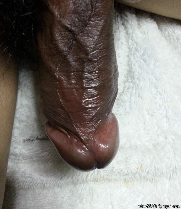 Photo of a third leg from eden2313