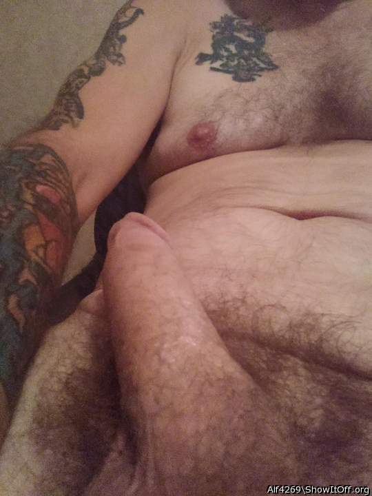 Photo of a boner from Alf4269