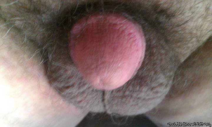 Photo of a boner from chub39