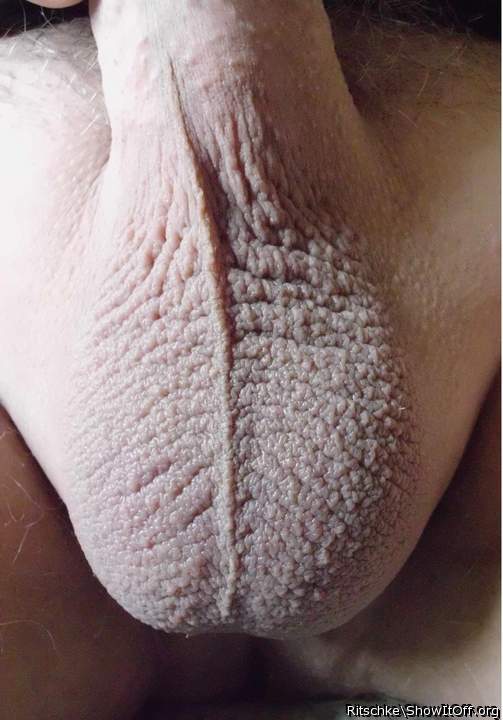    rough and beautiful scrotum