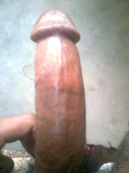 hot cock