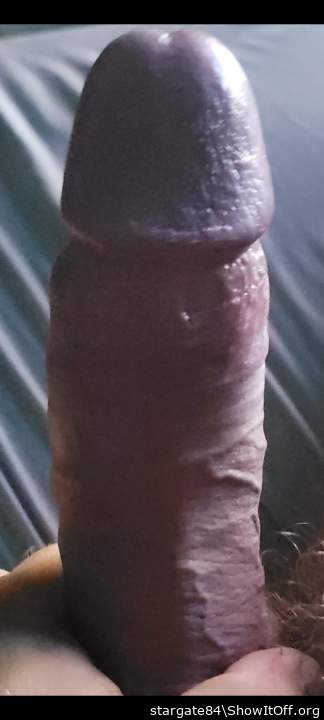 Photo of a third leg from stargate84