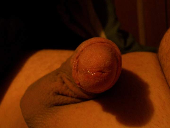 Photo of a weasel from avgcock