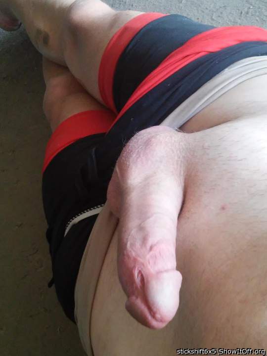 Photo of a middle leg from stickshift6x5