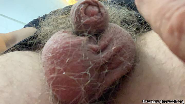 Love to lick it all