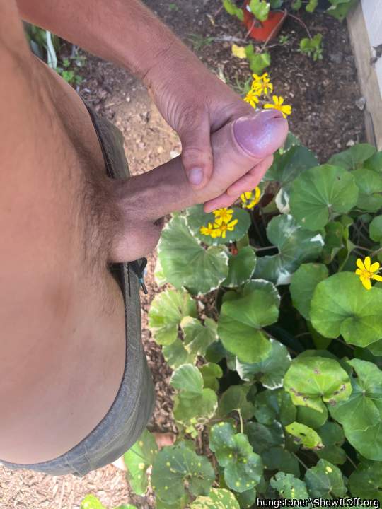 Nice big cock in the garden!