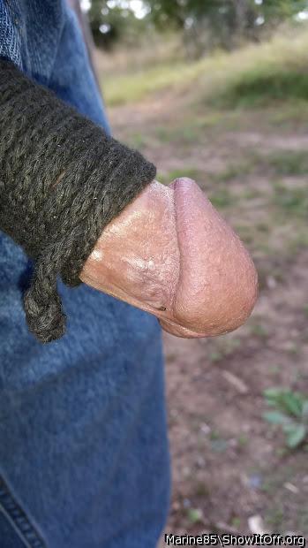 Tied cock