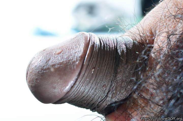 Photo of a dong from eden2313