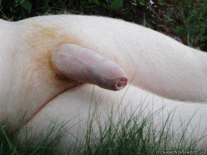 Photo of a phallus from D!CK4SKIN