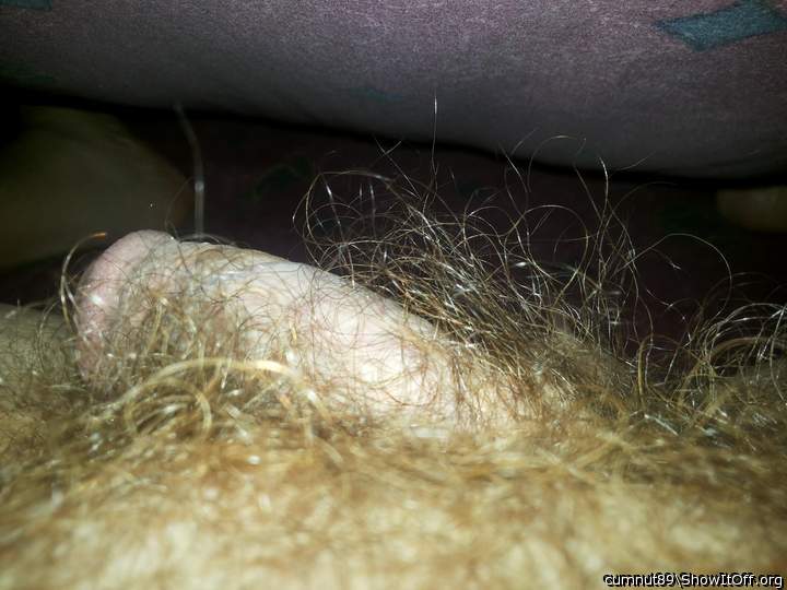Semi in bed...