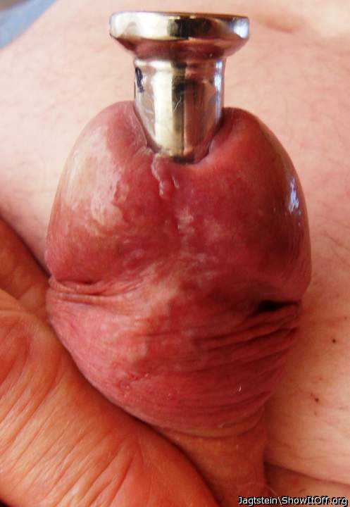 Penis Plug  17mm