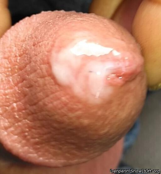 Photo of a meat stick from Denpenn