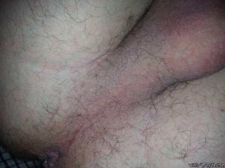 Photo of Man's Ass from WILLI2