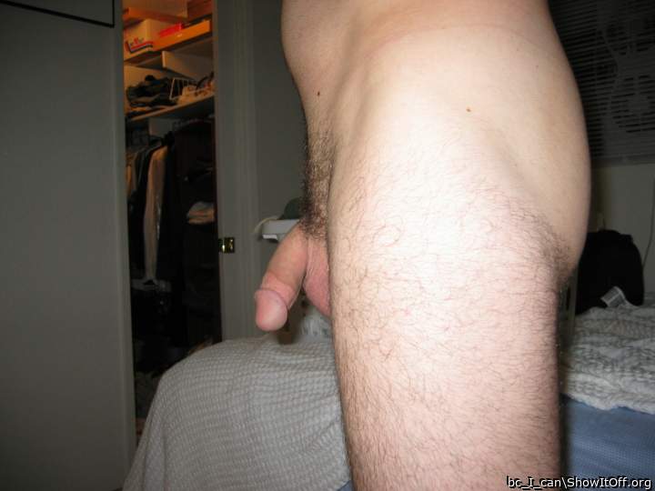 Photo of a bat from bc_I_can