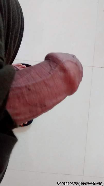 Photo of a snake from roshancock