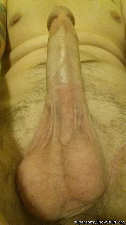 Photo of a middle leg from supersam