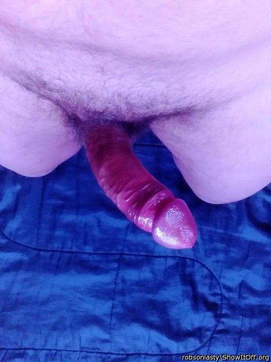 Photo of a phallus from robsoniasty