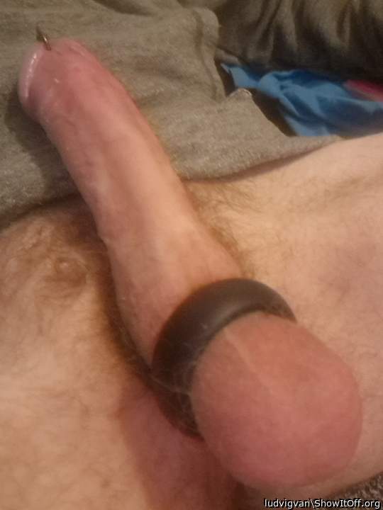 Horny again