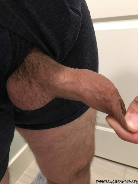 Photo of a penis from zebraboy