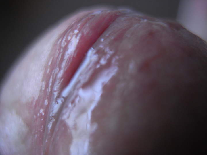 Photo of a joystick from eusay1587