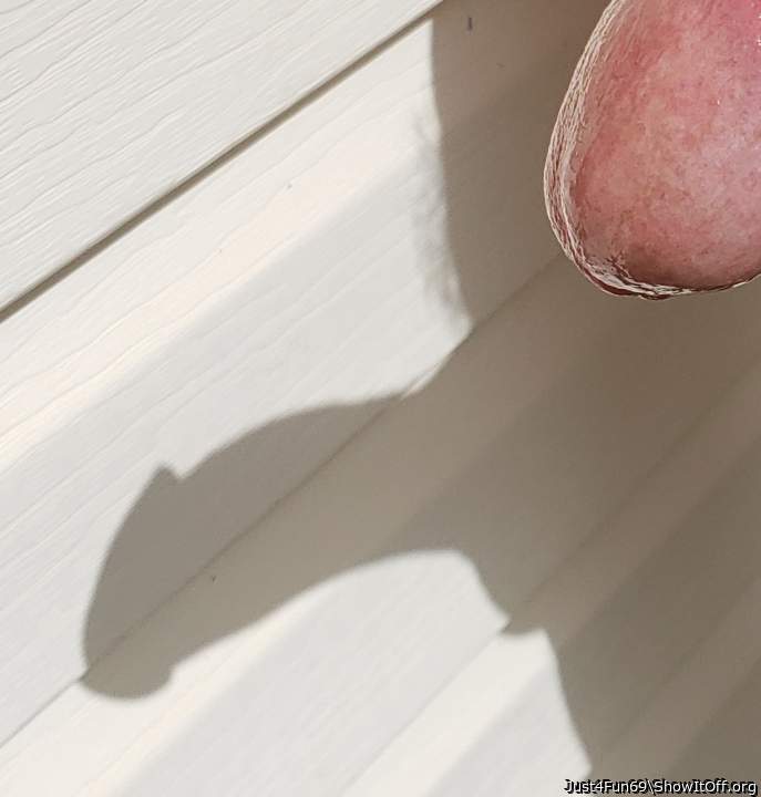 Cock Shadow