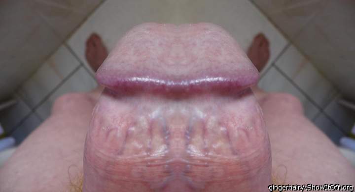 Photo of a horn from gingerhairy