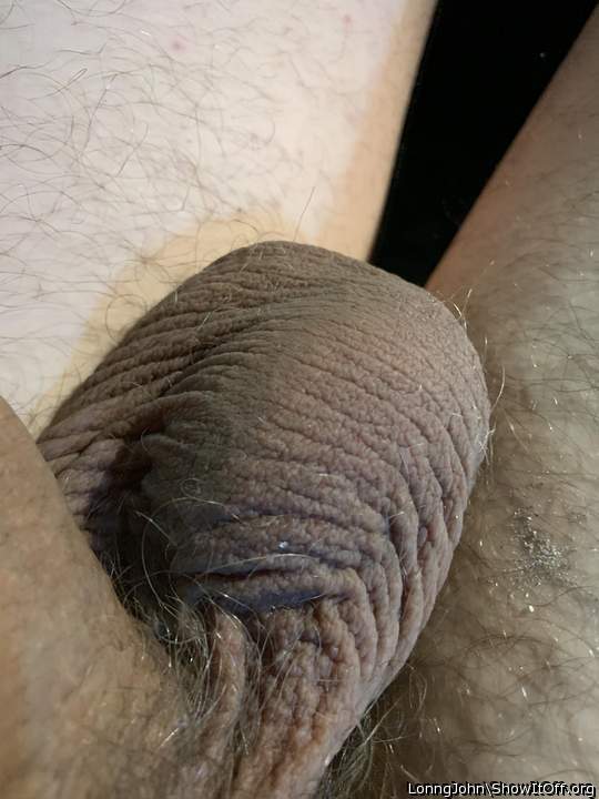 My Testicles