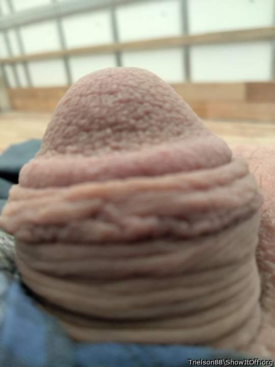Photo of a phallus from Tnelson88