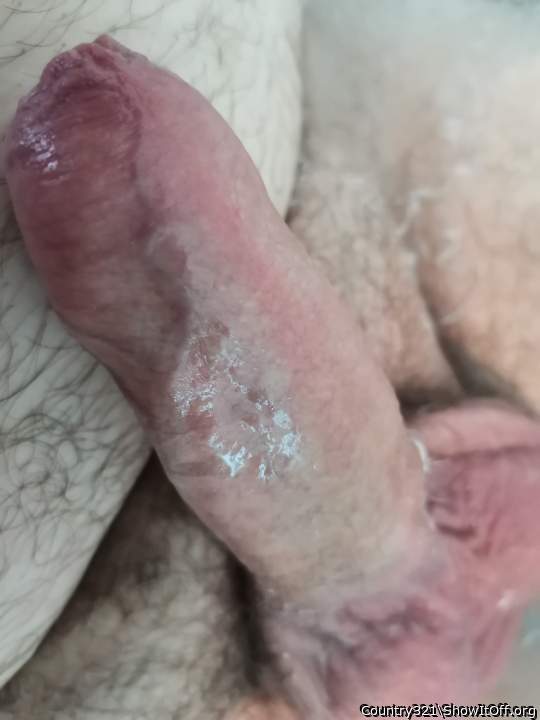 Photo of a snake from Country321