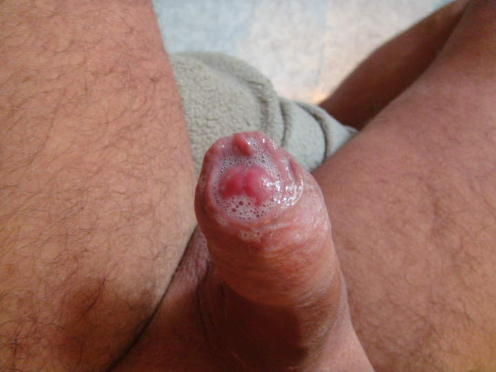 Photo of a bat from sivad666