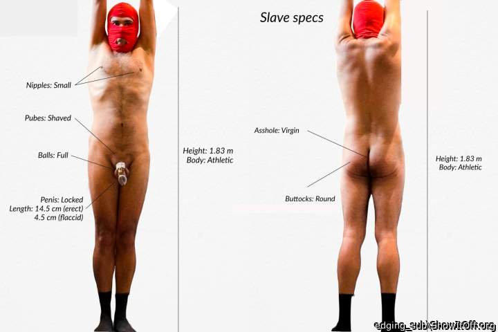 Slave specs