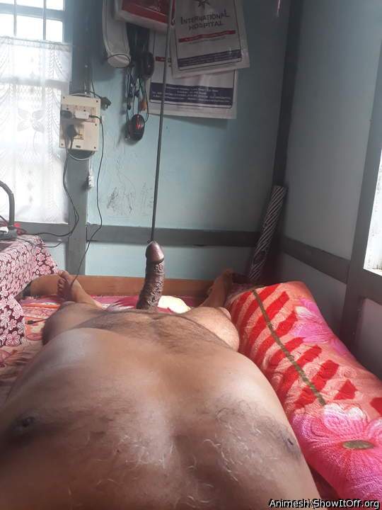 Photo of a wiener from Animesh