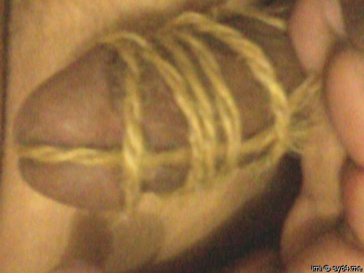 Photo of a cock from imi