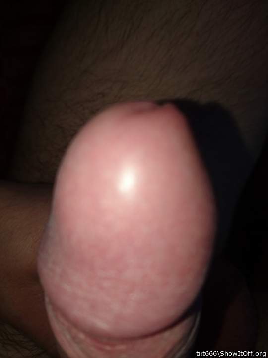 Photo of a middle leg from tiit666