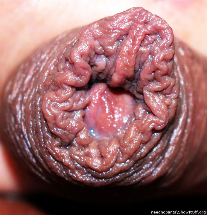 Lovely wrinkled wet foreskin , waiting to be probed by my to