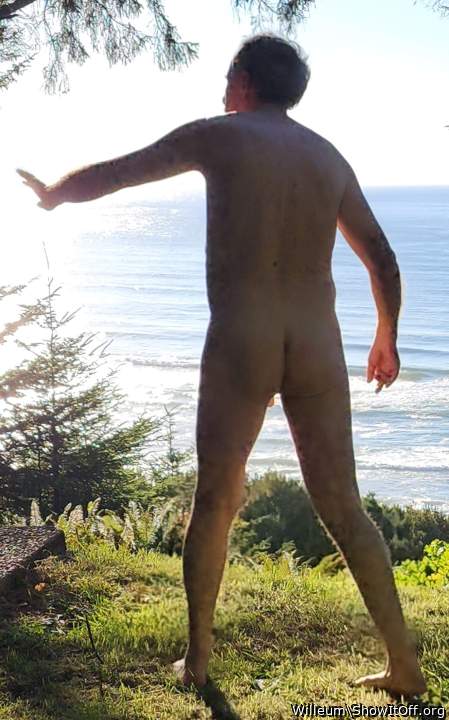 Photo of a ram rod from Willeum