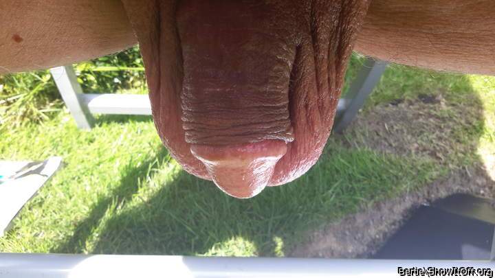 Photo of a phallus from Bertie