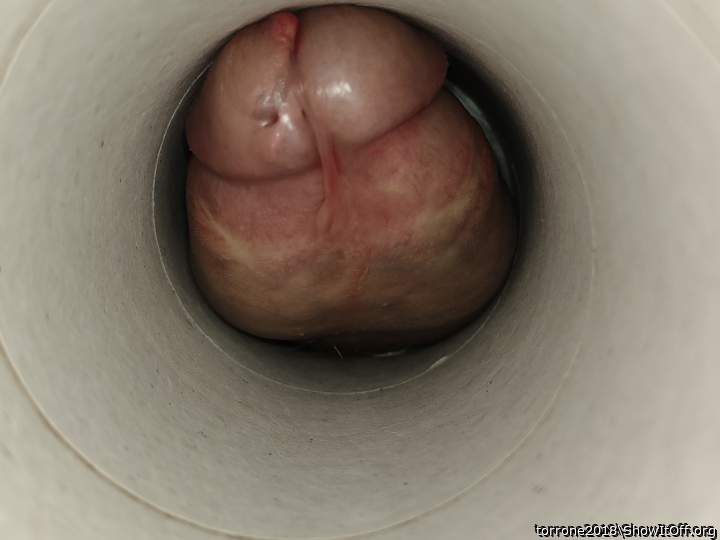 Photo of a snake from torrone2018