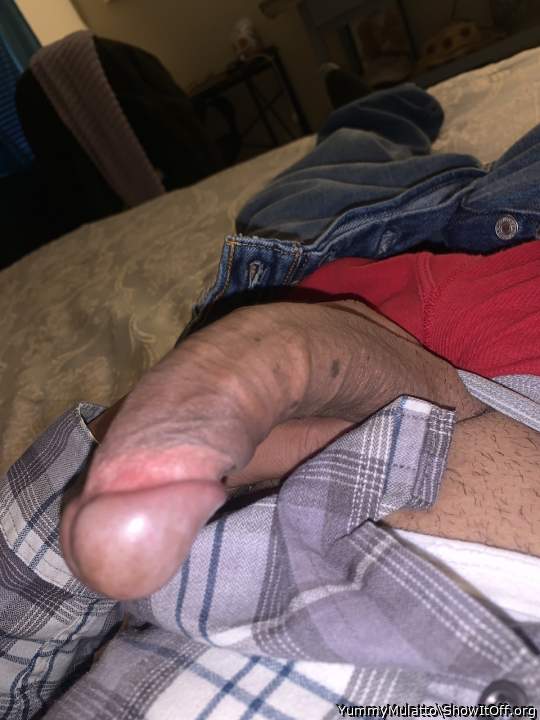 Photo of a phallus from YummyMulatto