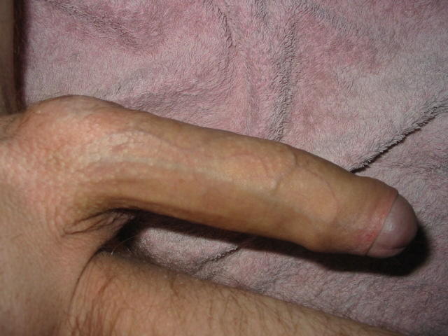 Beautiful cock  