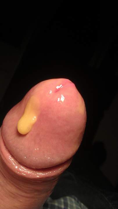 Photo of a sausage from Vanillacum