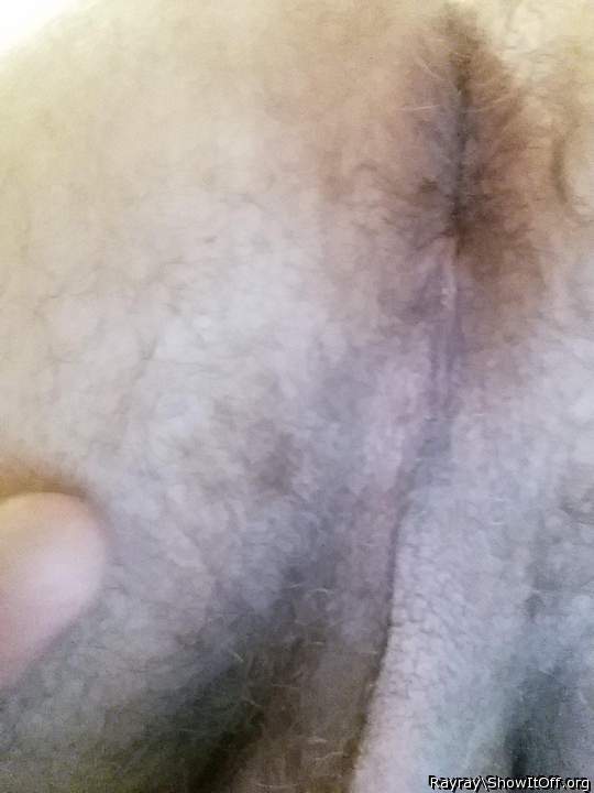 Photo of a hot dog from Rayray