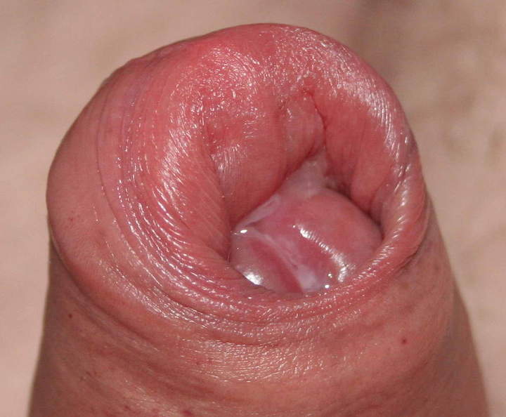 Adult image from nylonlover