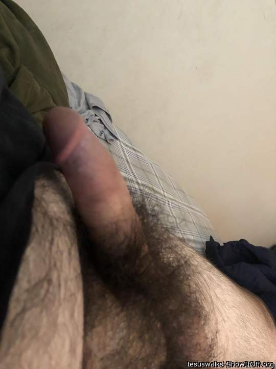 Photo of a short leg from Tesuswalks