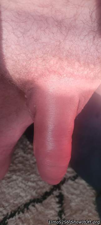 Photo of a stiffie from Elmo5256