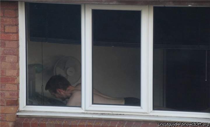 my neighbour