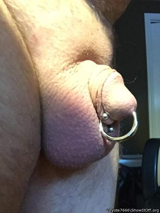 Photo of a dong from coyote7666