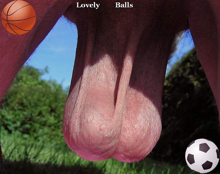 Testicles Photo from oliver09