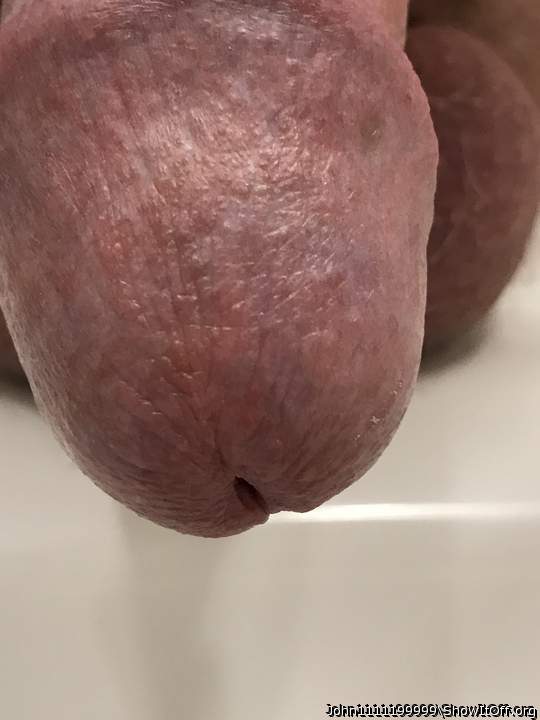 Head